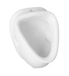 Photo: Exposed Inlet Urinal 45x31cm