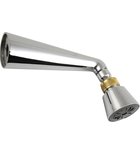 Photo: Wall Mounted Adjustable Shower, chrome/gold