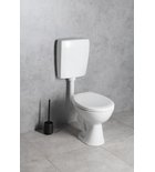 Photo: Kombi-WC, Betätigungsplatte 4,5/6l, Abgang waagerecht, weiß