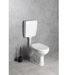 Photo: Kombi-WC, Betätigungsplatte 4,5/6l, Abgang senkrecht, weiß