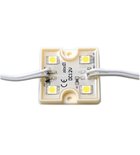 Photo: LED modul 4xSDM5050, 36x36x6mm, studená biela