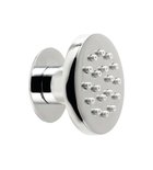 Photo: Wall Mounted Adjustable Shower Head, round/chrome