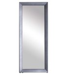Photo: RAMA LUX otopné těleso se zrcadlem 595x1448mm, 651 W, stříbrná strukturální