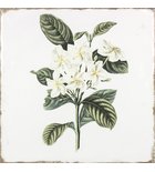 Photo: FORLI wall tile Flowers Decor Mix 20x20