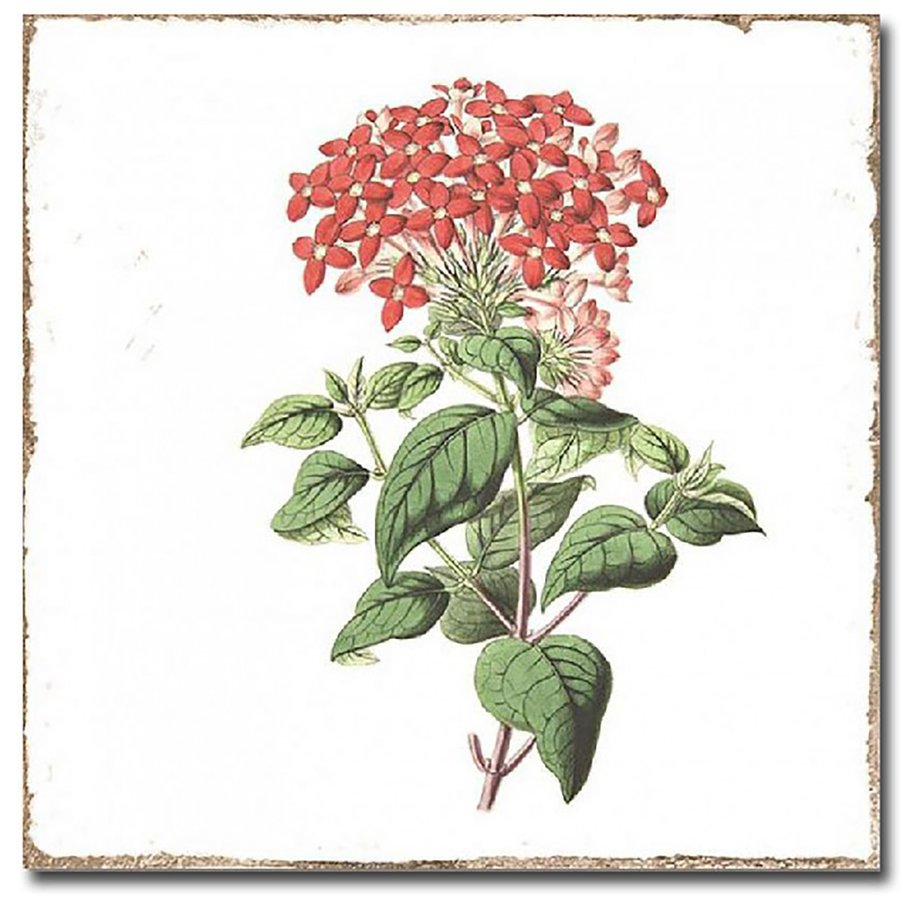 FORLI obklad Flowers Decor Mix 15x15 FOL011