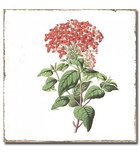 Photo: FORLI obklad Flowers Decor Mix 15x15