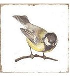 Photo: FORLI Wandfliesen Birds Decor Mix 15x15