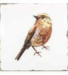 Photo: FORLI wall tile Birds Decor Mix 15x15