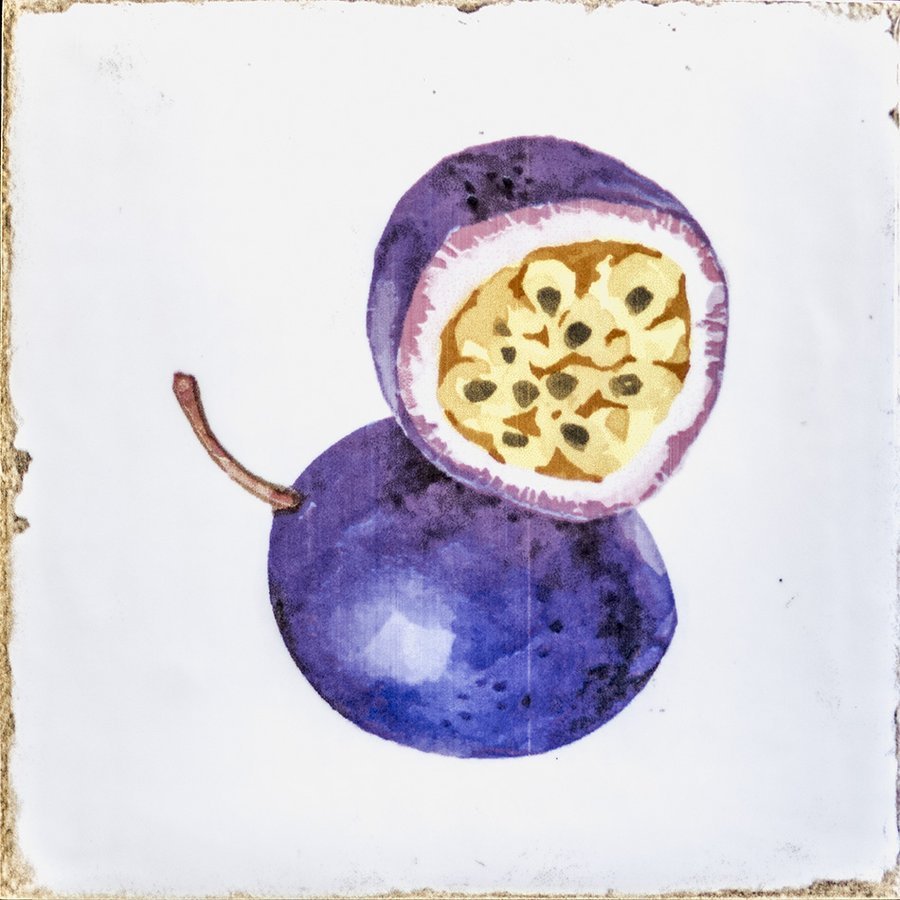 Fabresa FORLI obklad Fruits Decor Mix 15x15 FOL017