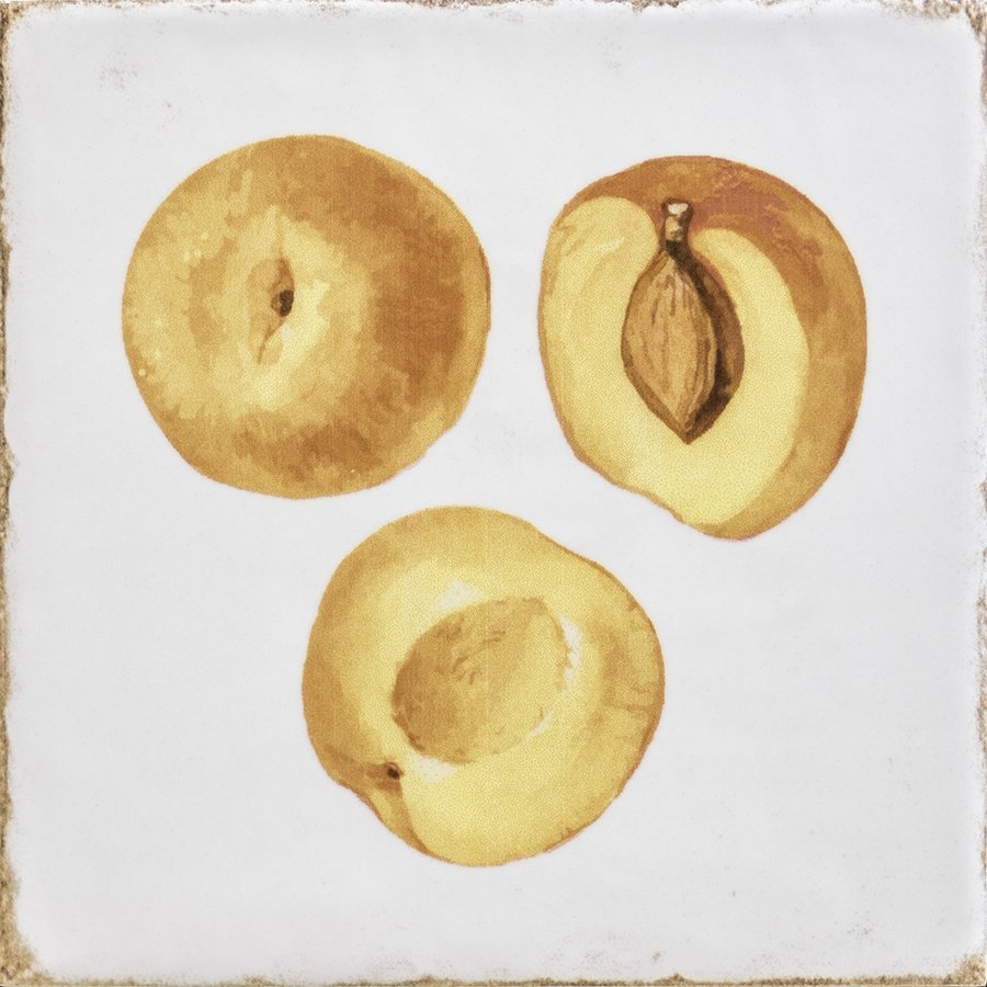 Fabresa FORLI obklad Fruits Decor Mix 15x15 FOL017
