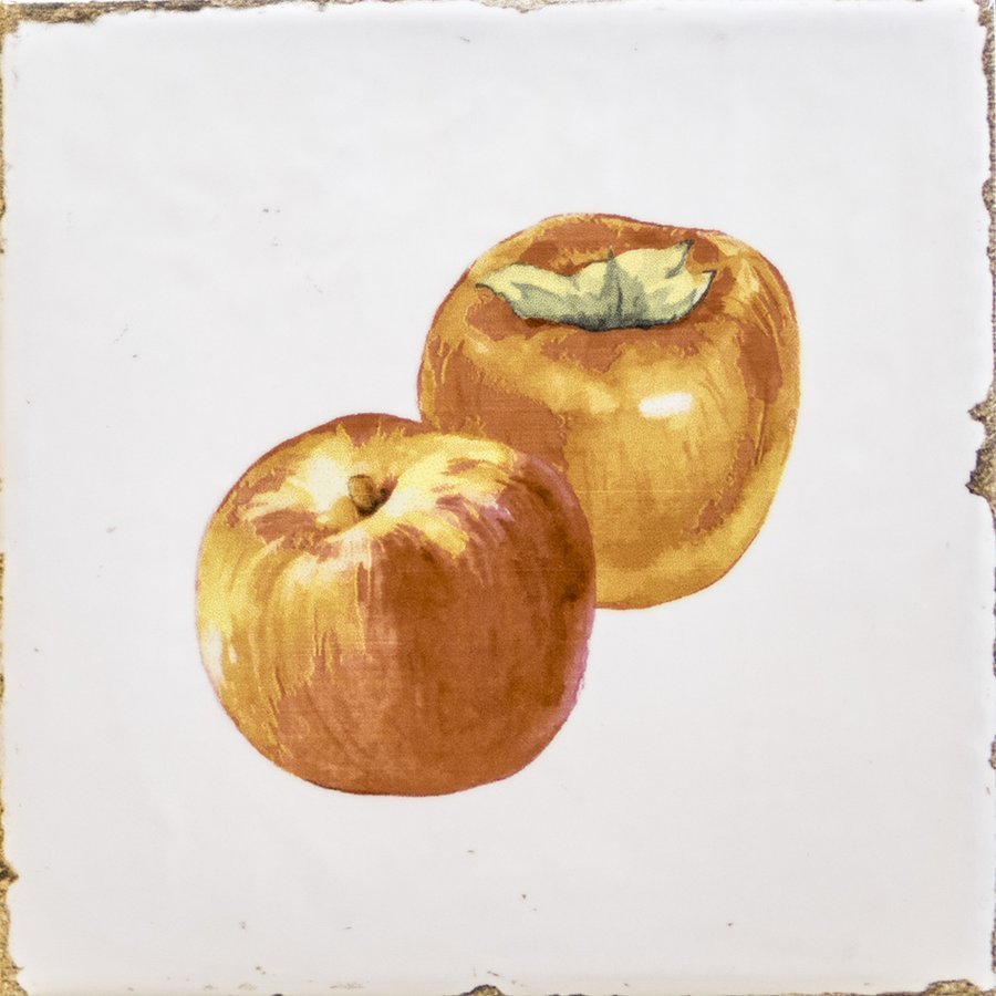 Fabresa FORLI obklad Fruits Decor Mix 15x15 FOL017