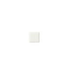 Photo: AMARCORD Tozzetto Bianco Matt 3x3
