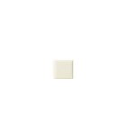 Photo: AMARCORD Tozzetto Beige Matt 3x3