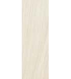 Photo: TECHLAM BASALTO BEIGE NATURAL 300X100, 5MM