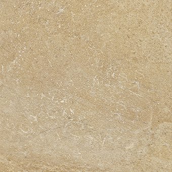 CND001 (34337)