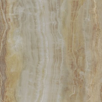 BIE005 (35564)