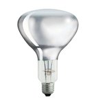 Photo: Infra bulb, 245 W