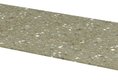 TSR100 (36985)