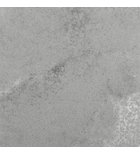 Photo: ROCKSTONE vzorek dekoru 250x200x12mm, 4033 Concrete