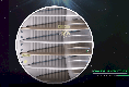 IPSBALL (38527)