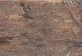 GDR001 (38931)