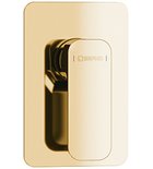 Photo: SPY Single Lever Concealed Shower Mixer, 1 outlet, gold