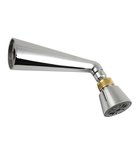 Photo: Wall Mounted Adjustable Shower, chrome/gold
