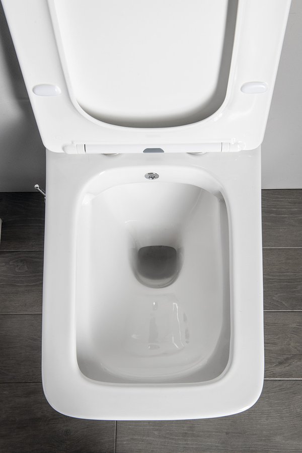Sapho PORTO CLEANWASH závěsná WC mísa Rimless, integrovaná baterie a bidet. sprška, 36x5cm, bílá PZ102RX