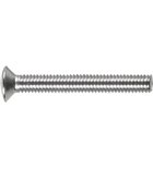 Photo: Screw M6x100mm, stainless steel