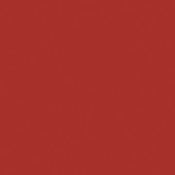 BSI011 (45756)