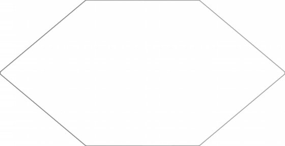 BSI012 (45757)