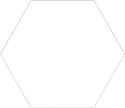 SLD003 (45763)