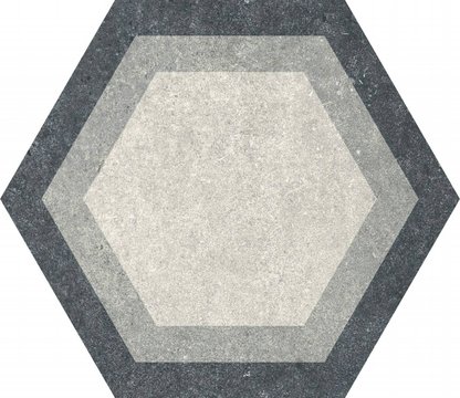 TRA009 (46168)