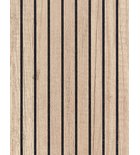 Photo: Deska dekoru STRIP 250x200x18mm, 23 dub Alabama
