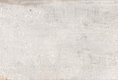 DET003 (50954)
