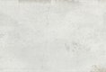 DET004 (50955)