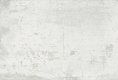 DET004 (50955)