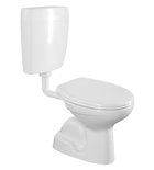 Photo: Kombi-WC, Betätigungsplatte für 2-Mengen-Spülung 4,5/6l, Abgang senkrecht, weiß