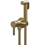 Photo: ICONIC concealed bidet mixer tap with stop shower, round, gold matt