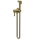 Photo: ICONIC concealed bidet mixer tap with stop shower, round, gold matt
