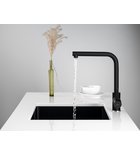 Photo: RONA stojánková dřezová baterie, černá mat