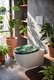 63459-hy-s367-funny-wc-sedatko-s-potiskem-monstera-int-1-c