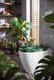 63459-hy-s367-funny-wc-sedatko-s-potiskem-monstera-int-2-c