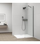 Photo: ESCA GUN METAL  Dusch-Glasteil, Wandmontage, Klarglas, 500 mm