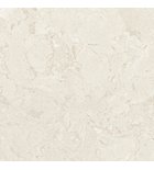 CAMPASTONE