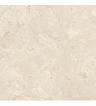 CAMPASTONE