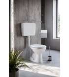 Photo: Close Coupled Toilet, Dual Flush Plate 4/8l, white