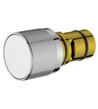 Photo: Switch with controller, 2 outlets, chrome