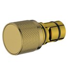 Photo: Switch with controller, 2 outlets, gold matt