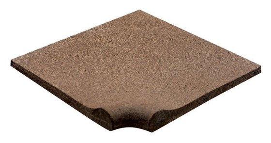 NTR009 (9481)
